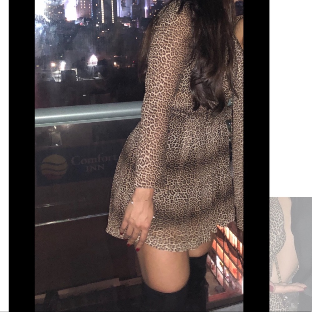 Zara Animal Print Dress - Picture 3 of 4